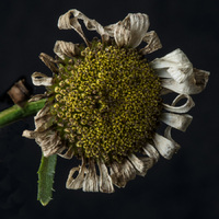 © 2025 All Rights Reserved.