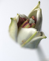 © 2025 All Rights Reserved.