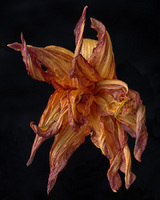 © 2025 All Rights Reserved.