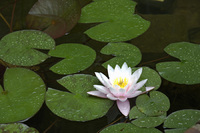 © 2025 All Rights Reserved.