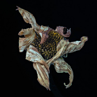 © 2025 All Rights Reserved.