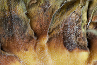 © 2025 All Rights Reserved.