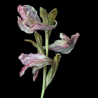 © 2025 All Rights Reserved.