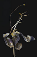 © 2025 All Rights Reserved.