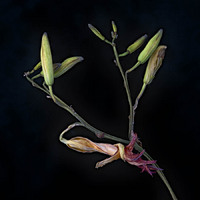 © 2025 All Rights Reserved.