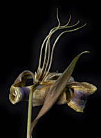 © 2025 All Rights Reserved.