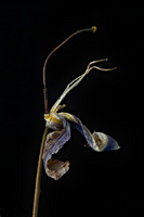 © 2025 All Rights Reserved.