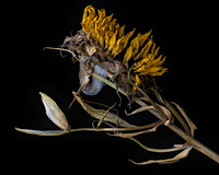 © 2025 All Rights Reserved.