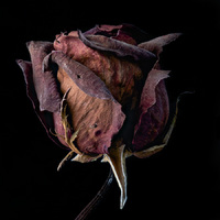 © 2025 All Rights Reserved.