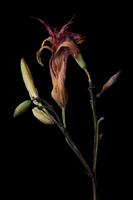 © 2025 All Rights Reserved.