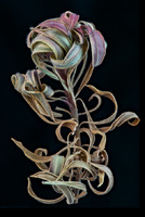 © 2025 All Rights Reserved.