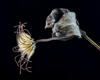 © 2025 All Rights Reserved.