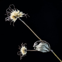 © 2025 All Rights Reserved.