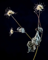 © 2025 All Rights Reserved.