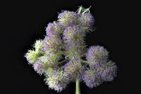 © 2025 All Rights Reserved.