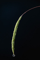 © 2025 All Rights Reserved.