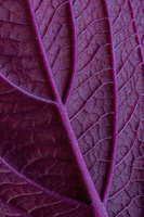 © 2025 All Rights Reserved.