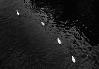 © 2025 All Rights Reserved.