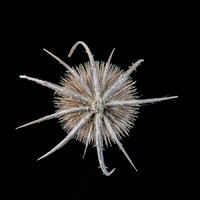 © 2025 All Rights Reserved.