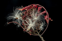 © 2025 All Rights Reserved.