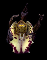 © 2025 All Rights Reserved.