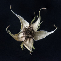 © 2025 All Rights Reserved.