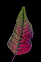 © 2025 All Rights Reserved.