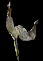 © 2025 All Rights Reserved.