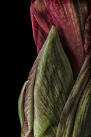 © 2025 All Rights Reserved.