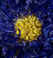 © 2025 All Rights Reserved.