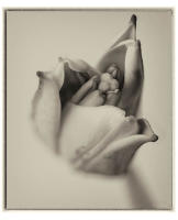 © 2025 All Rights Reserved.