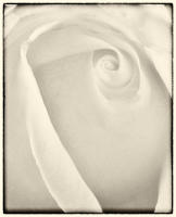 © 2025 All Rights Reserved.