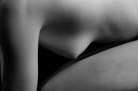 © 2025 All Rights Reserved.