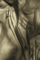 © 2025 All Rights Reserved.