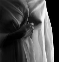 © 2025 All Rights Reserved.
