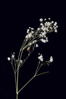 © 2025 All Rights Reserved.