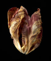 © 2025 All Rights Reserved.