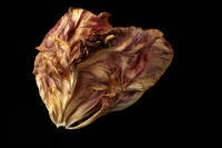 © 2025 All Rights Reserved.