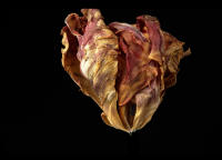 © 2025 All Rights Reserved.