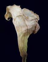 © 2025 All Rights Reserved.