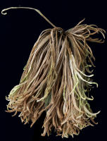 © 2025 All Rights Reserved.