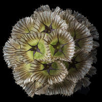 © 2025 All Rights Reserved.