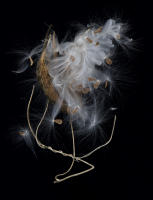 © 2025 All Rights Reserved.