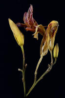 © 2025 All Rights Reserved.