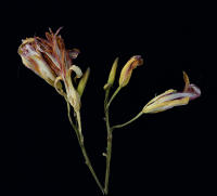 © 2025 All Rights Reserved.