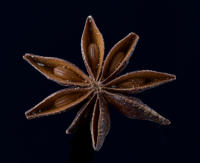 © 2025 All Rights Reserved.